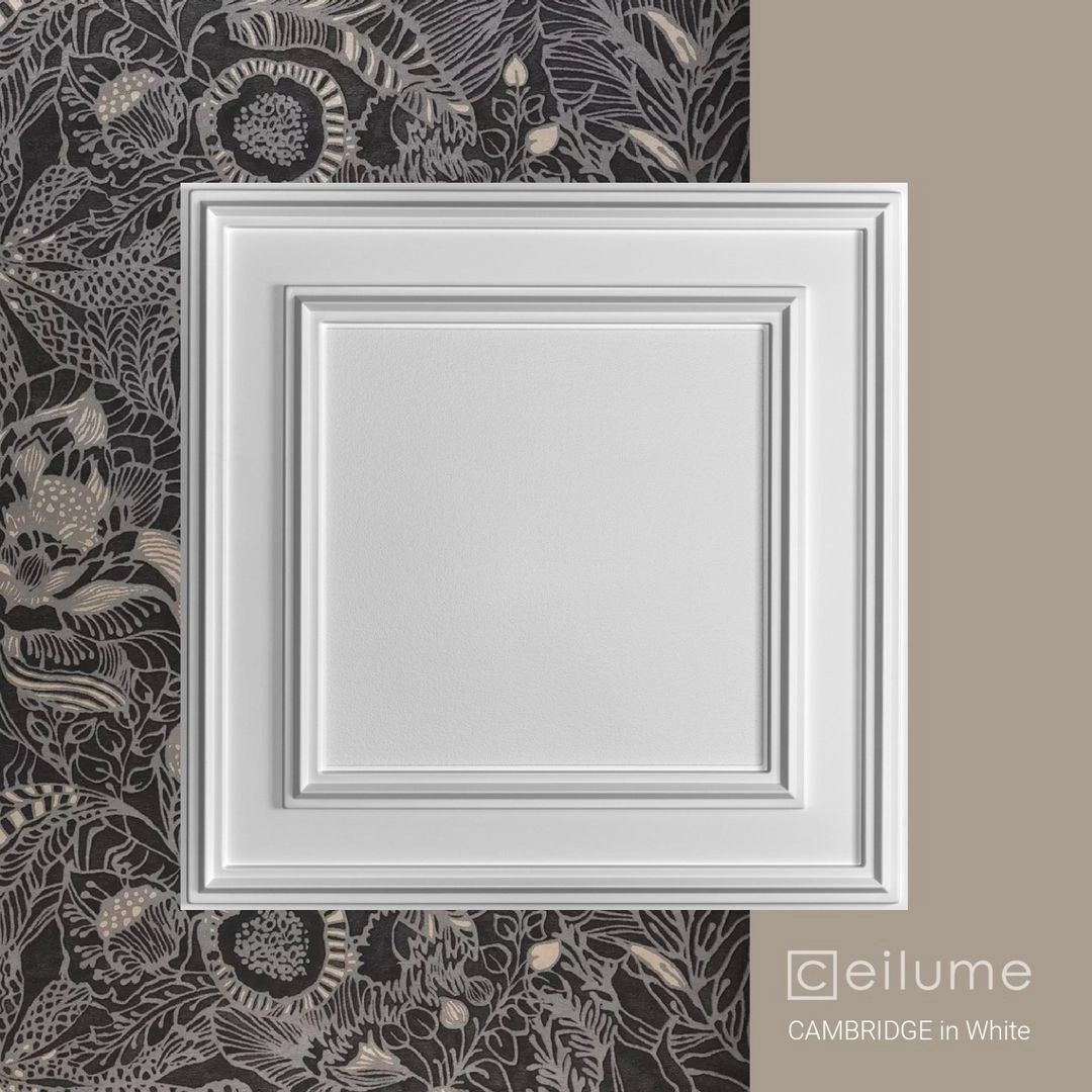 cambridge 2x2 white ceiling tile context
