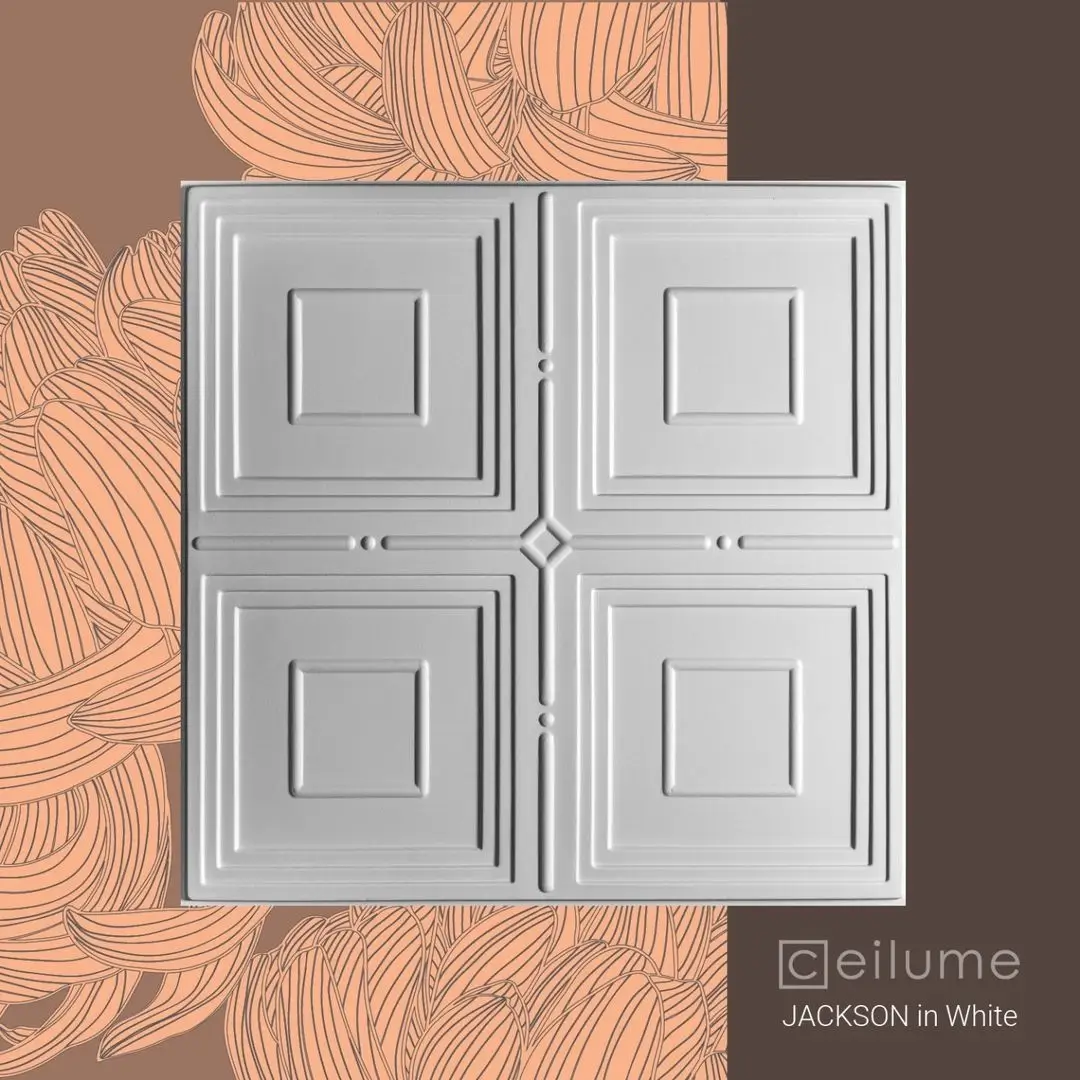 jackson 2x2 white ceiling tile context