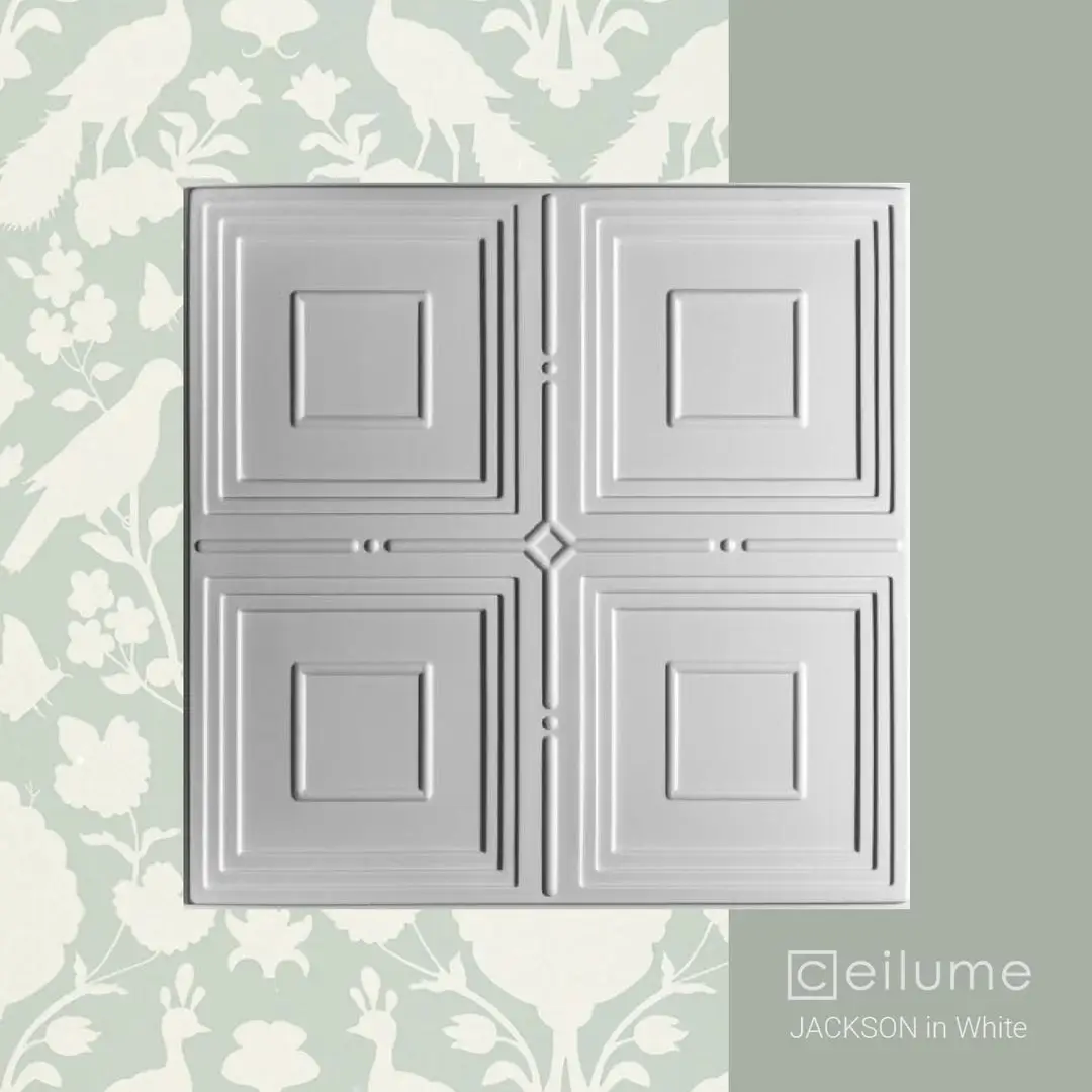 jackson 2x2 white ceiling tile context