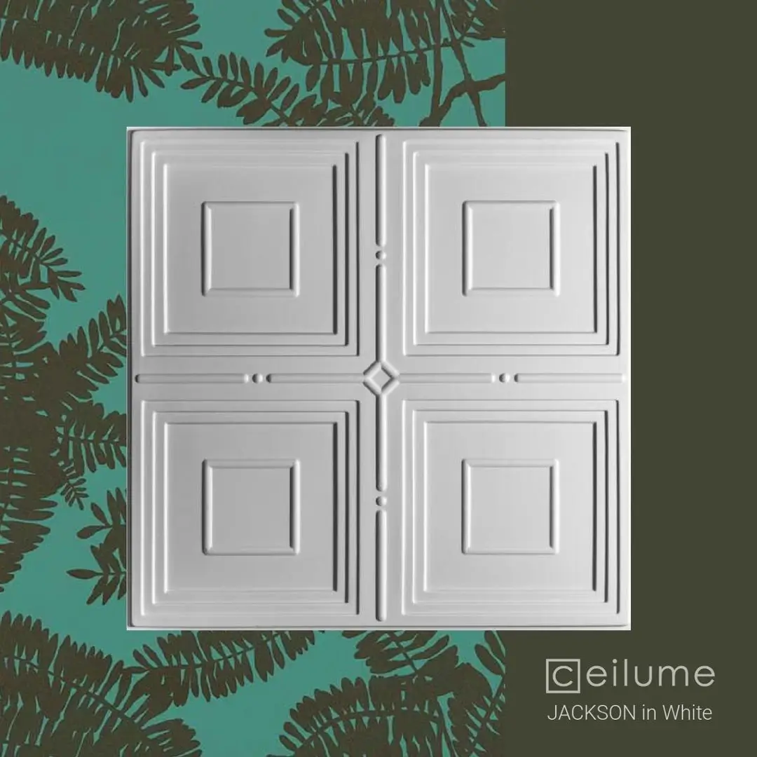 jackson 2x2 white ceiling tile context