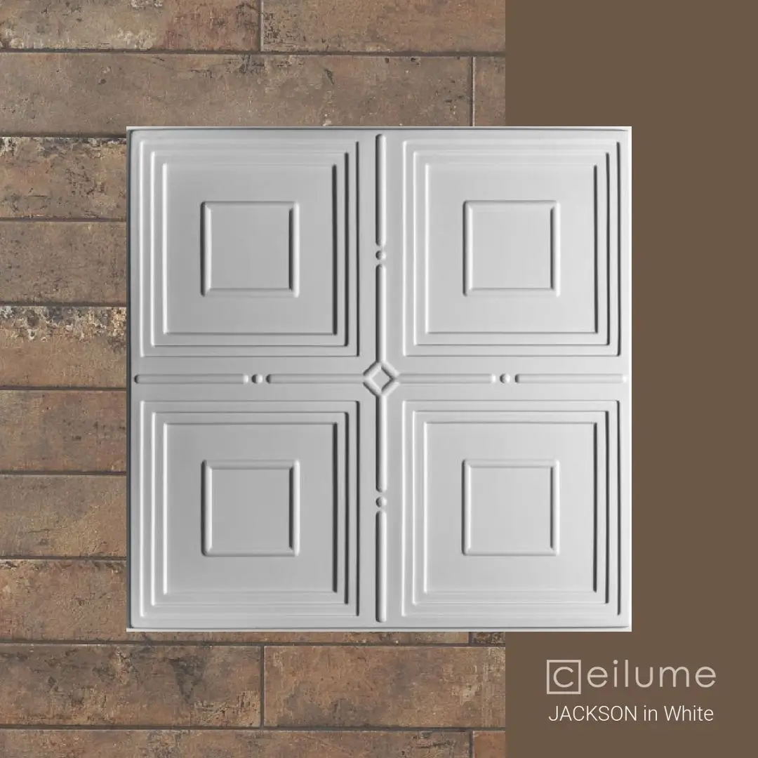 jackson 2x2 white ceiling tile context