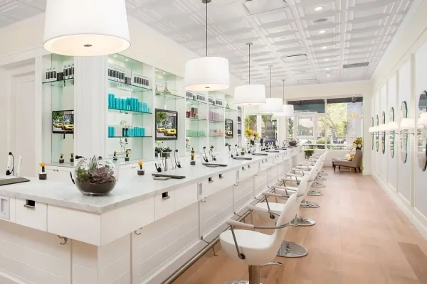 ceilume cambridge white