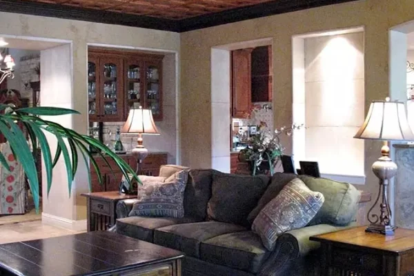 ceilume jackson bronze