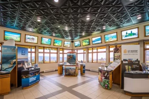 Ceilume Rattan Black